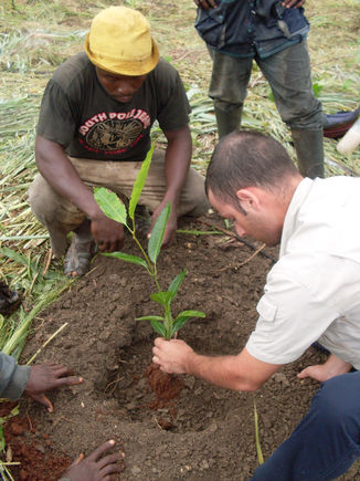 Treedom plante des arbres GEZE au Cameroun