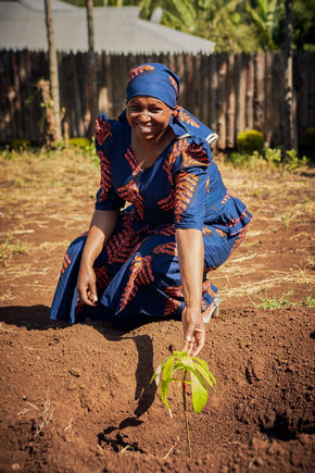 Une fermière plante un arbre en Tanzanie