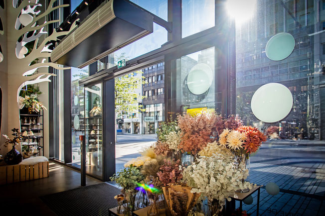 Slimdrive SL NT-FR Ulazi u trgovine i urede dizajnirani su kako bi bili vizualno privlačni sofisticiranim vratima s kliznim pogonom. Savršeno se integrira u elemente spektakularne fasade stup-prečka Kö-Bogen II u Düsseldorfu.