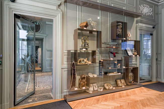 Muséum d'Histoire Naturelle La Rochelle