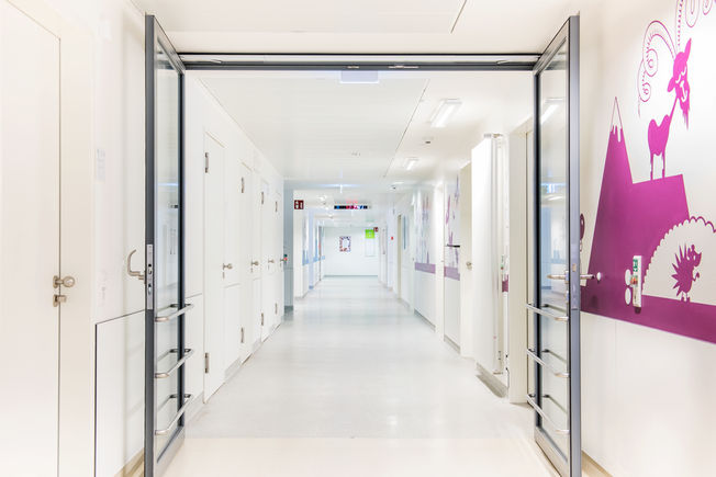 Fire protection door with hold-open system with TS 5000-R-ISM, integrated closing sequence control and lintel-mounted smoke detector for early detection of smoke and fire to ensure automatic closing of the door leaves in the correct sequence in the event of fire.
