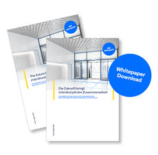 White paper BIM grafica di anteprima