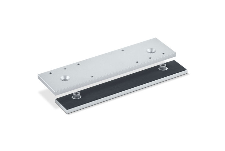 Mounting plate and counterplate for all-glass door 