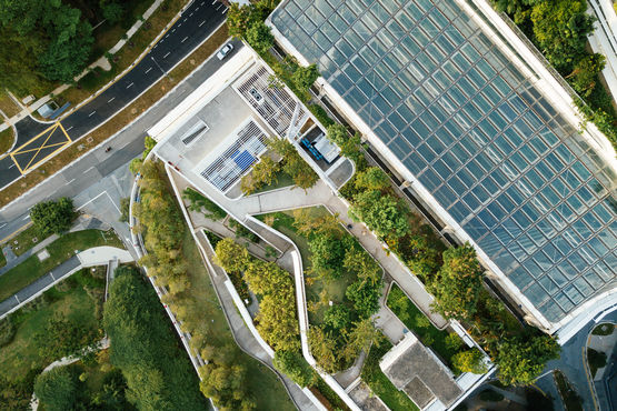 Green roofs are an essential part of climate protection: the plants absorb CO2 and help clean the air.