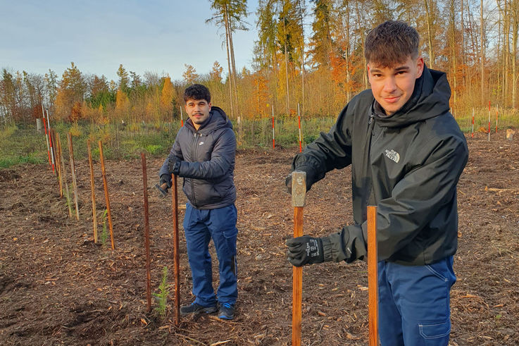 Azubi Baumpflanzaktion