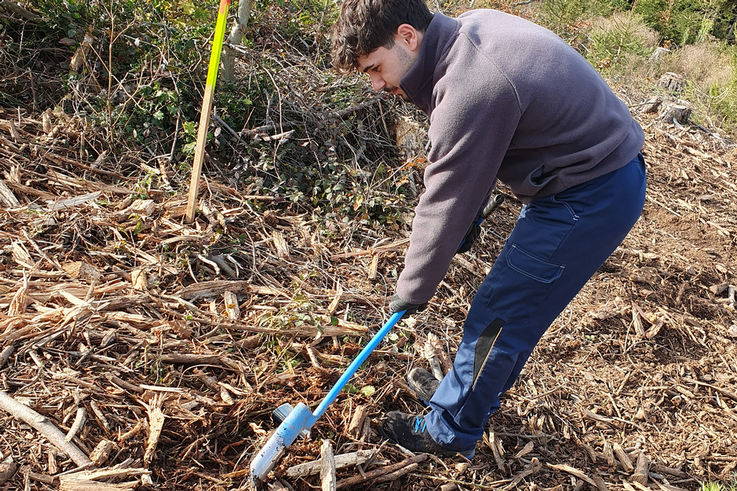 Azubi Baumpflanzaktion