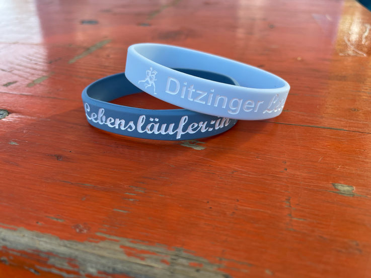 Ditzinger Lebenslauf 2026