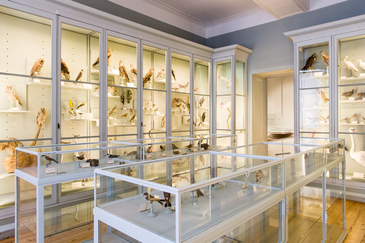 Muséum d'Histoire Naturelle La Rochelle