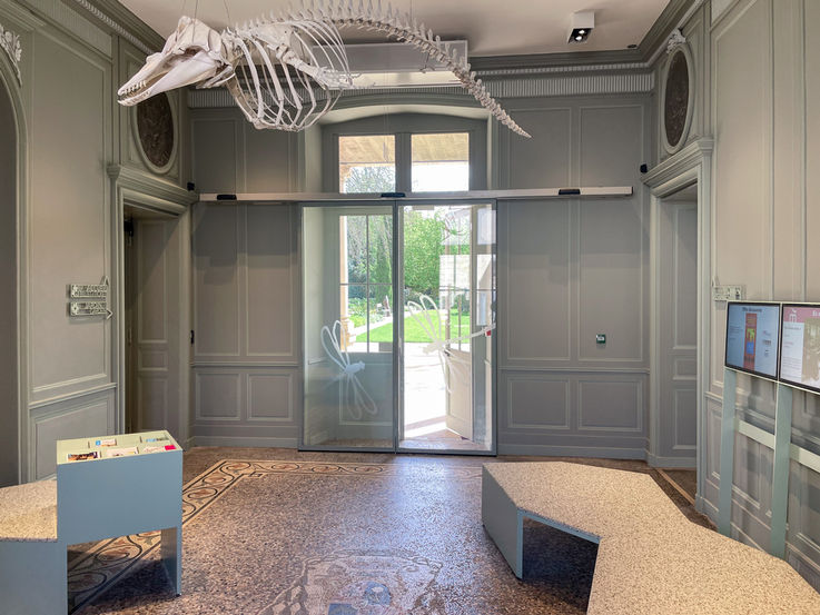 Muséum d'Histoire Naturelle La Rochelle