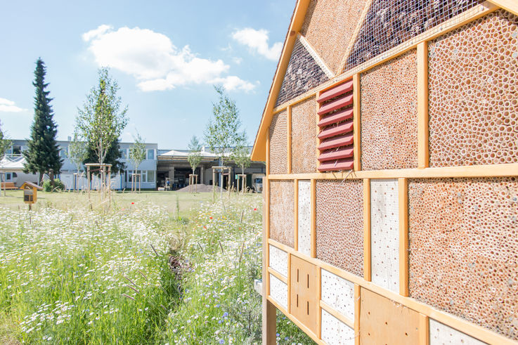 View of beehive and biotope on the GEZE site