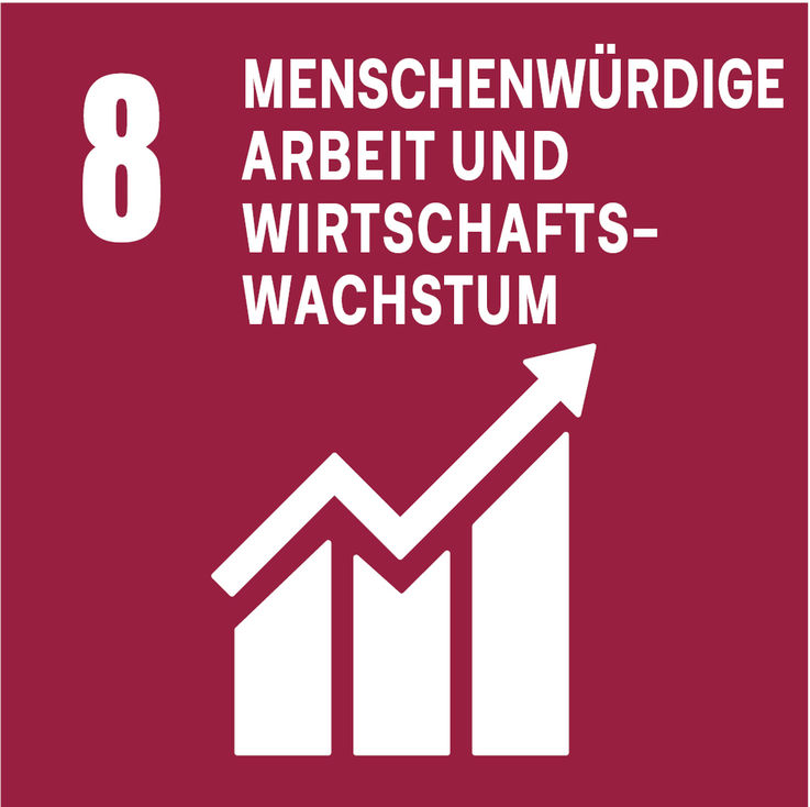 SDG 8 – Menschenwürdige Arbeit und Wirtschaftswachstum