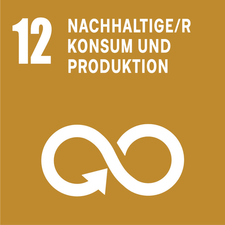 SDG 12 – Verantwortungsvolle Konsum- und Produktionsmuster