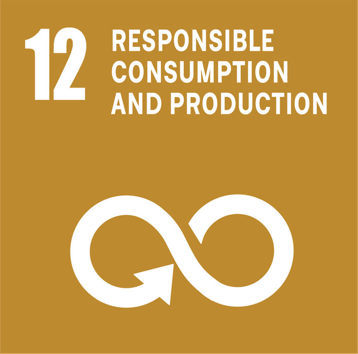 SDG 12 – Responsible Production and Consumption