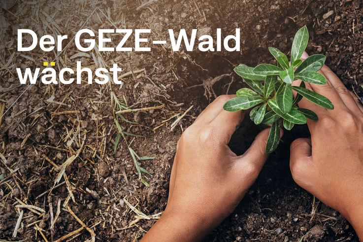  - Der GEZE-Wald wächst