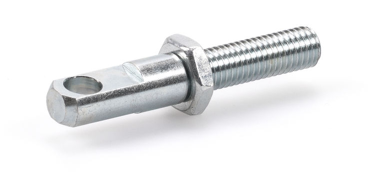 Eye bolt E 250 NT DRM