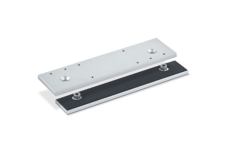 Mounting plate and counterplate for all-glass door